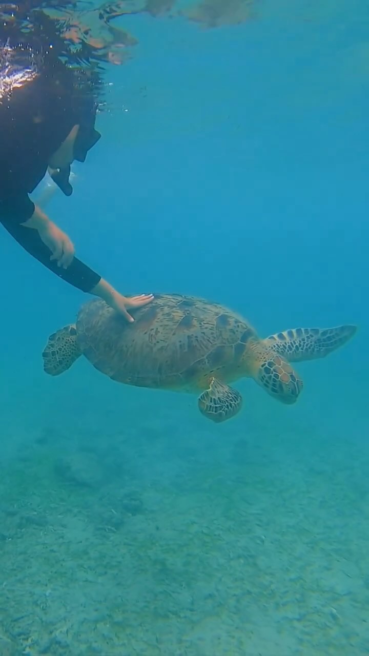 Amira presenting her designs