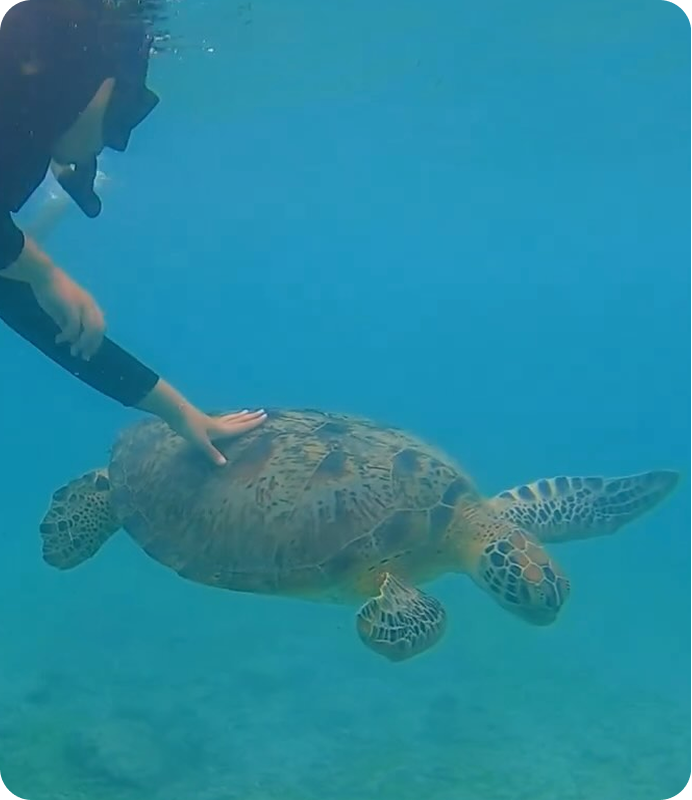 Amira presenting her designs